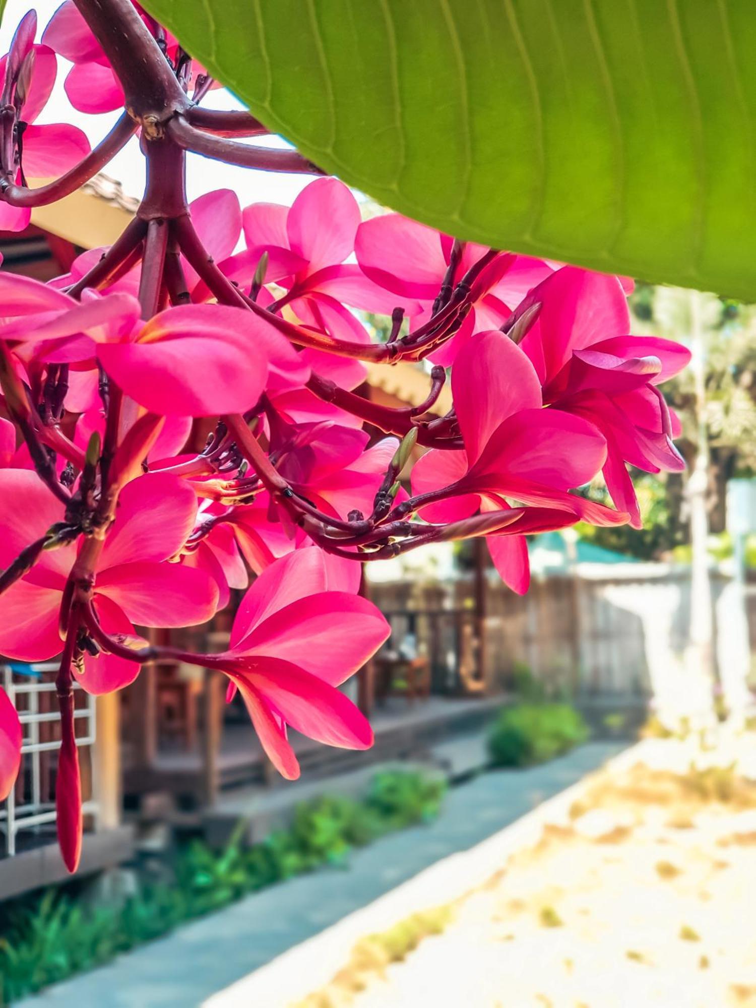 Leaf Coco Bungalow Gili Air Exterior foto