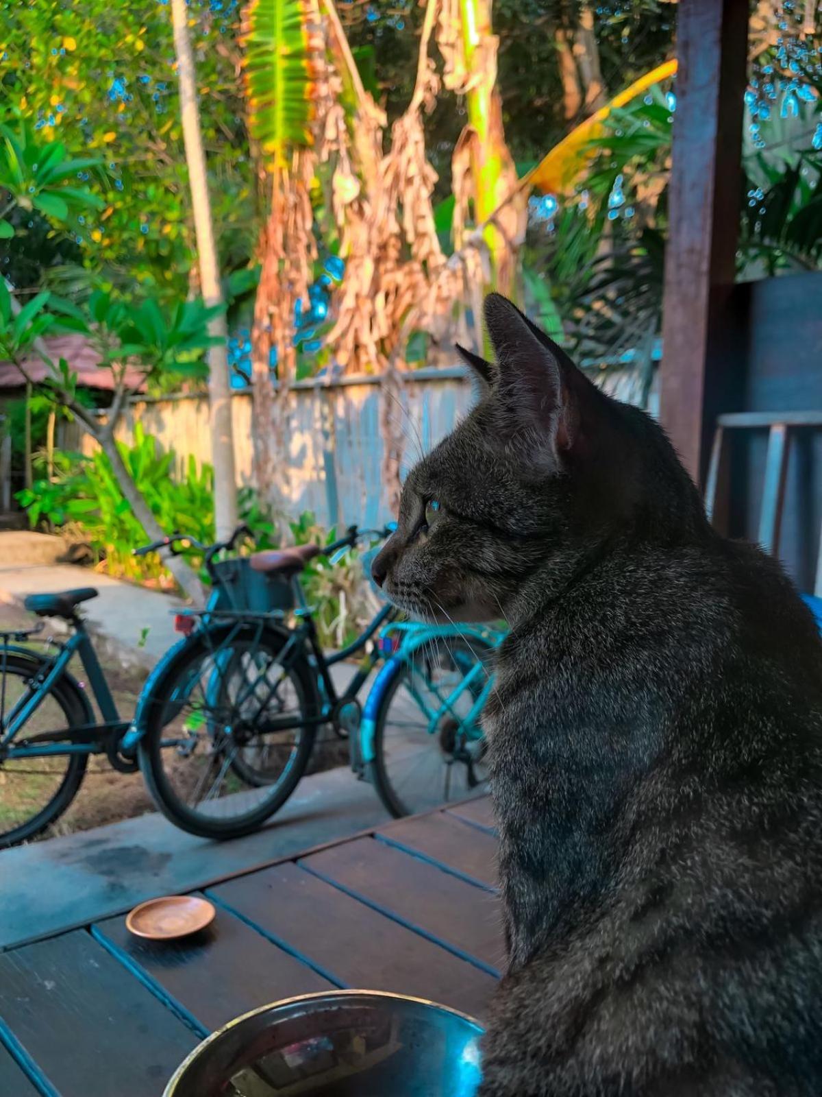 Leaf Coco Bungalow Gili Air Exterior foto